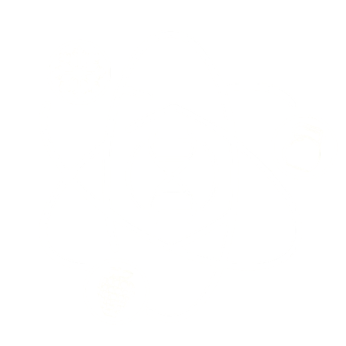 Logo Homeorhesis Coaching